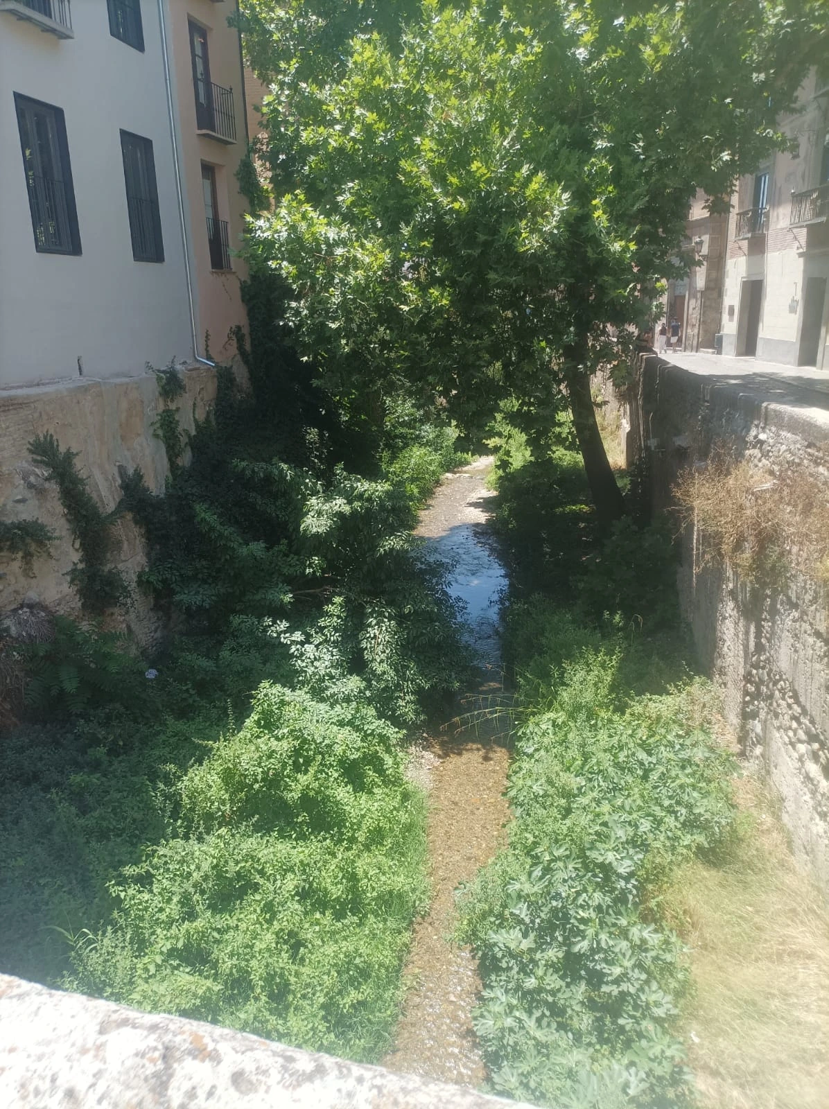 carrera-del-darro-free-tour-juderia