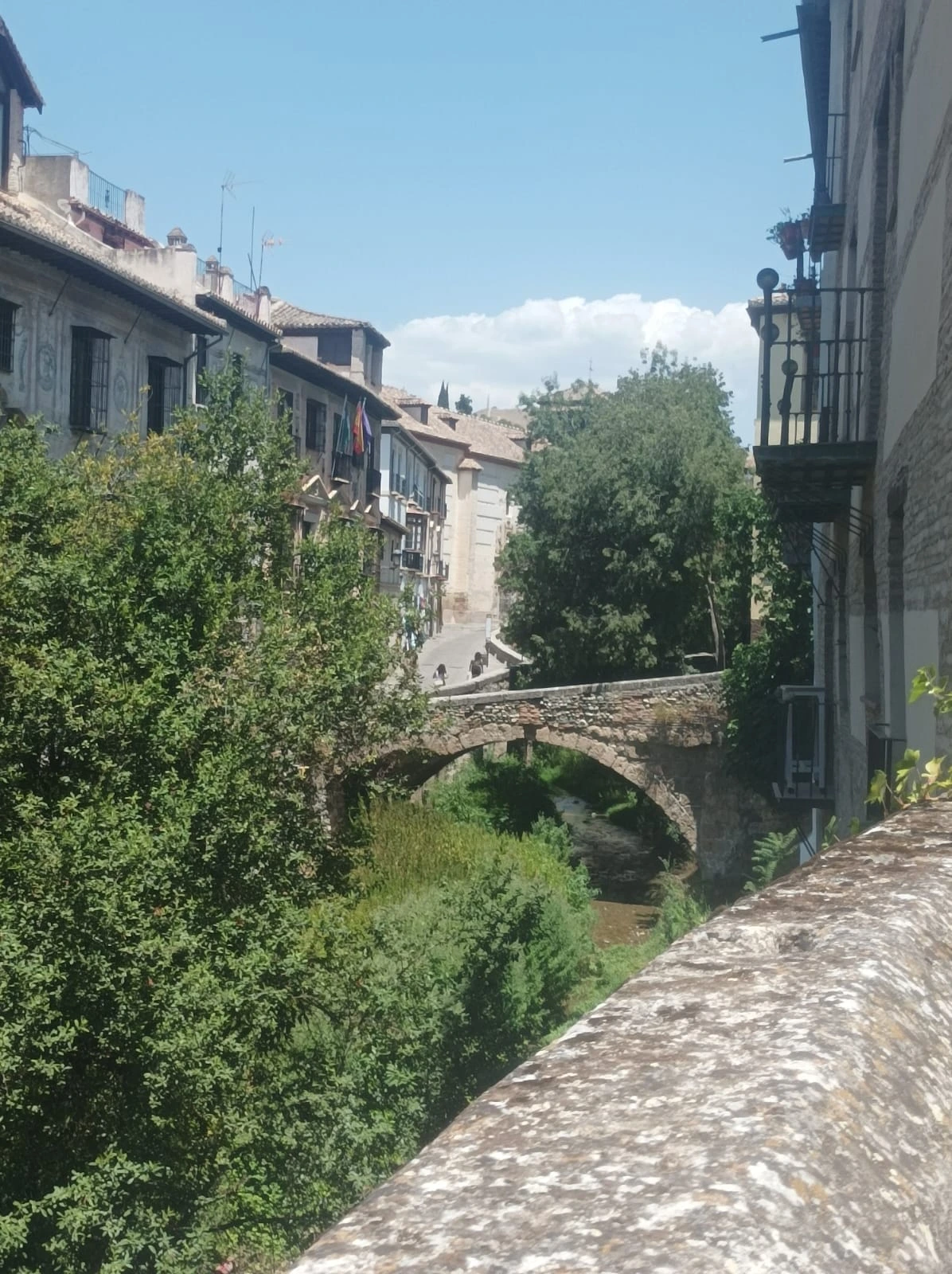 carrera-del-darro-granada-historia