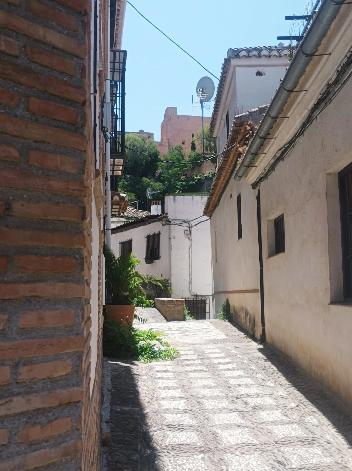 especialista-juderia-granada
